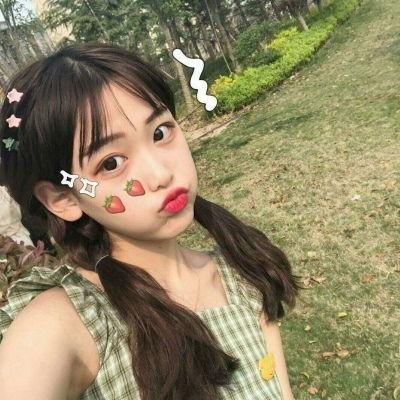 动物狂想曲第二季
